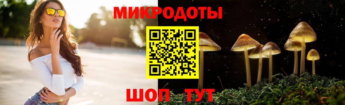 Галлюциногенные грибы Psilocybine cubensis Рузаевка